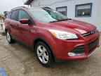 2014 Ford Escape Se for Sale in Pekin, IL - Hail