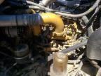 2010 Peterbilt 384 Semi Truck for Sale in Avon, MN - Rollover