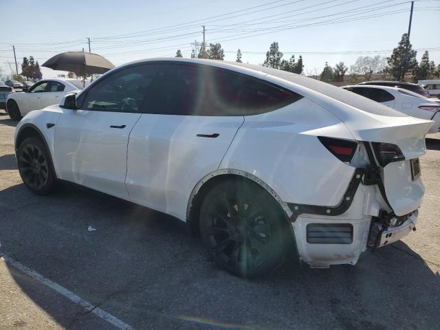  TESLA MODEL Y 2023 Белый
