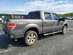 2012 Ford F150 Supercrew zu verkaufen in Spartanburg, SC - Rear End