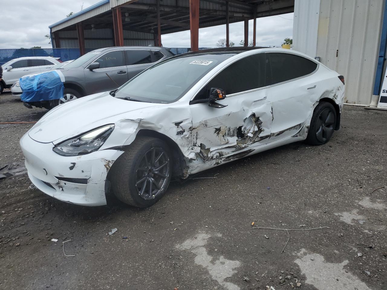 Riverview, FL에서 판매 중인 2019 Tesla Model 3 - Side