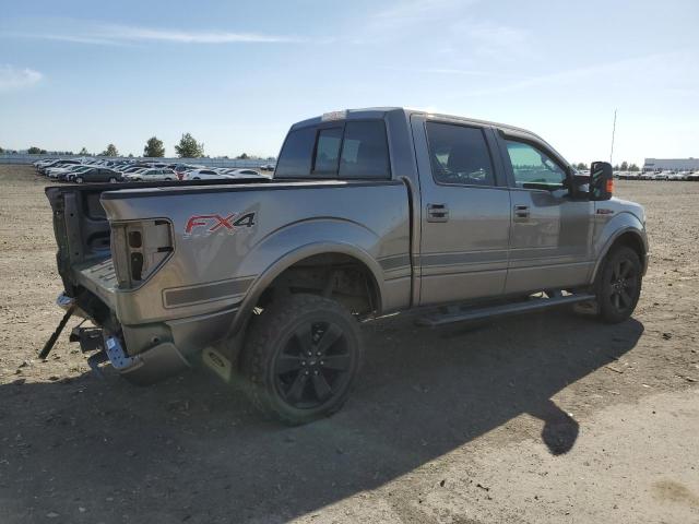  FORD F-150 2013 Сріблястий