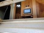 2020 Vanleighrv Vilano იყიდება Moraine-ში, OH - Water/Flood