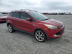 2014 Ford Escape Titanium იყიდება Earlington-ში, KY - Hail
