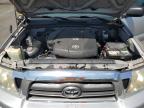 2010 Toyota Tacoma Double Cab Prerunner for Sale in Miami, FL - Rear End