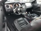 2010 Ford Mustang Gt იყიდება Louisville-ში, KY - Hail