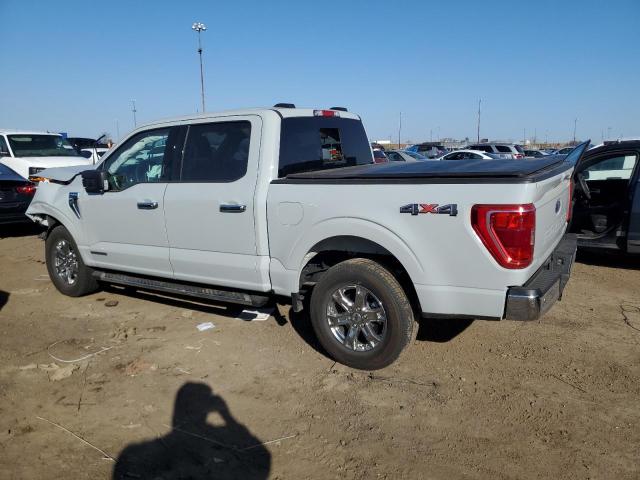  FORD F-150 2023 Белый