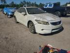 2010 Honda Accord Exl for Sale in Greenwell Springs, LA - Water/Flood