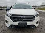 Leroy, NY에서 판매 중인 2019 Ford Escape Sel - Front End