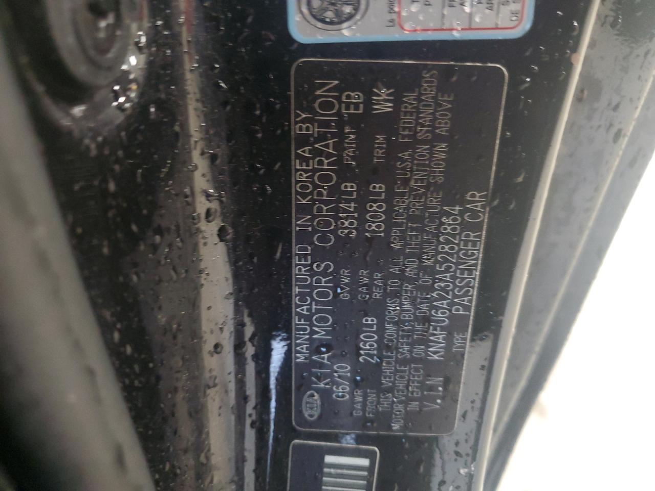 2010 Kia Forte Ex VIN: KNAFU6A23A5282864 Lot: 52251695
