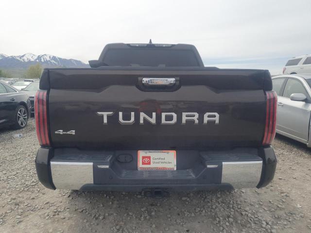  TOYOTA TUNDRA 2023 Коричневий