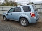 2009 Ford Escape Hybrid იყიდება Hillsborough-ში, NJ - Side