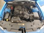 2011 Ford Mustang  for Sale in Madisonville, TN - All Over