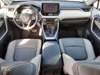 2021 Toyota Rav4 Xle Premium for Sale in San Diego, CA - Rear End