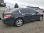Moraine, OH에서 판매 중인 2009 Honda Accord Exl - Front End