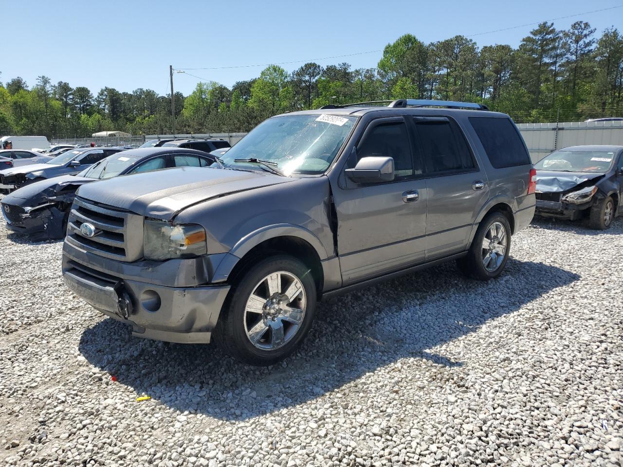 2010 Ford Expedition Limited for Sale in Ellenwood, GA - Side