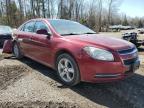 2010 CHEVROLET MALIBU 2LT à vendre chez Copart ON - COOKSTOWN