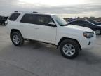New Orleans, LA에서 판매 중인 2022 Toyota 4Runner Sr5 - All Over