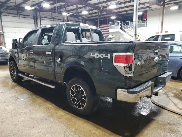  FORD F-150 2014 Green