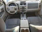 2010 Ford Escape Xlt for Sale in Andrews, TX - Side
