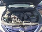 2013 Hyundai Sonata Gls de vânzare în Louisville, KY - Normal Wear