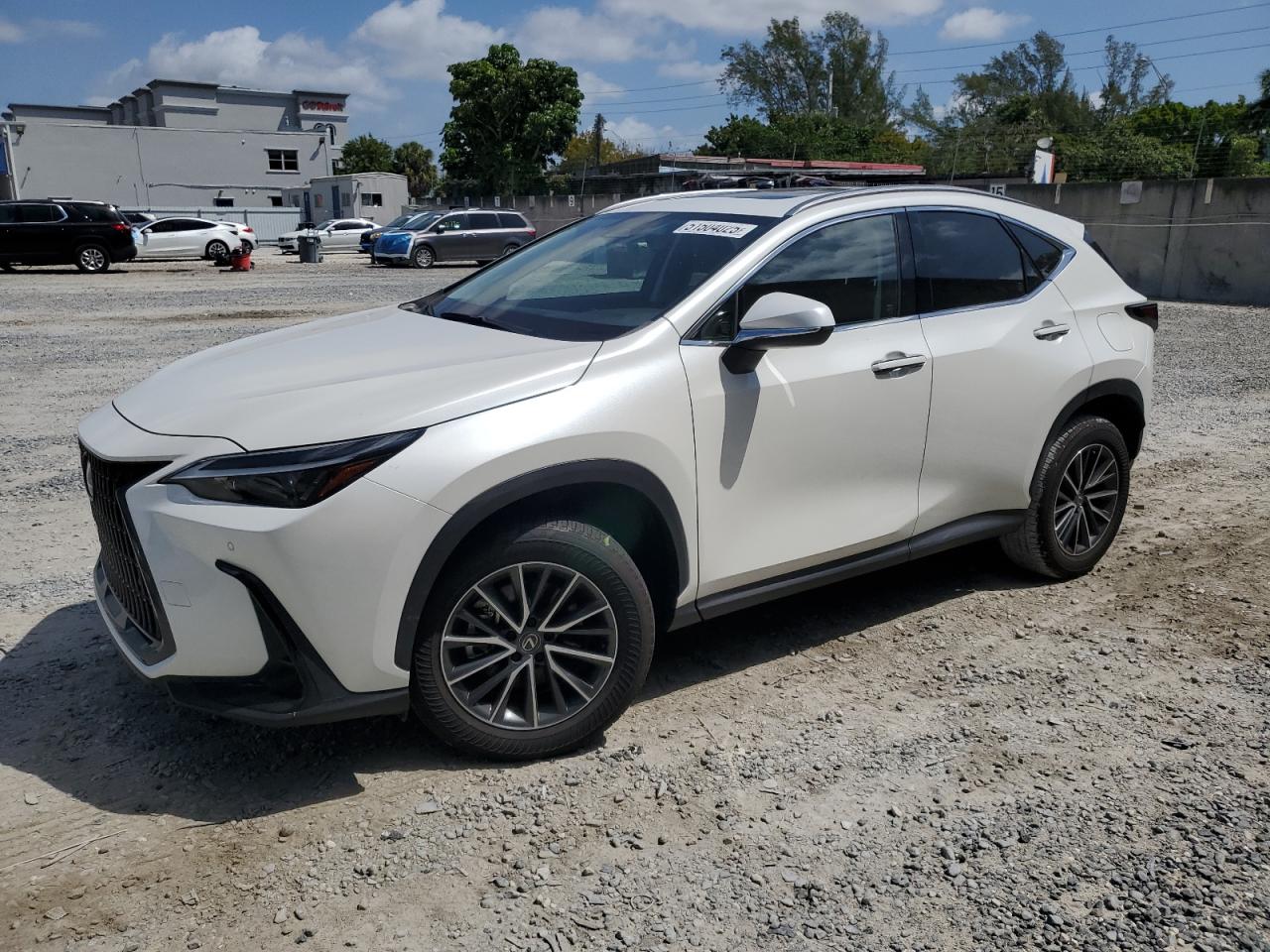 2024 Lexus Nx 350 Premium de vânzare în Opa Locka, FL - Water/Flood