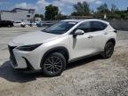 2024 Lexus Nx 350 Premium de vânzare în Opa Locka, FL - Water/Flood