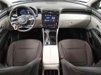 2024 Hyundai Tucson Sel for Sale in Houston, TX - Hail