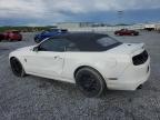 2013 Ford Mustang  for Sale in Gastonia, NC - Front End