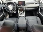 2019 Toyota Rav4 Xle Premium for Sale in Windsor, NJ - Front End