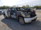 2008 Chevrolet Silverado K1500 на продаже в Memphis, TN - Burn