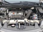 2014 Honda Cr-V Exl на продаже в New Britain, CT - Rear End