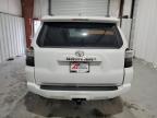 2023 Toyota 4Runner Sr5 en Venta en New Orleans, LA - Front End
