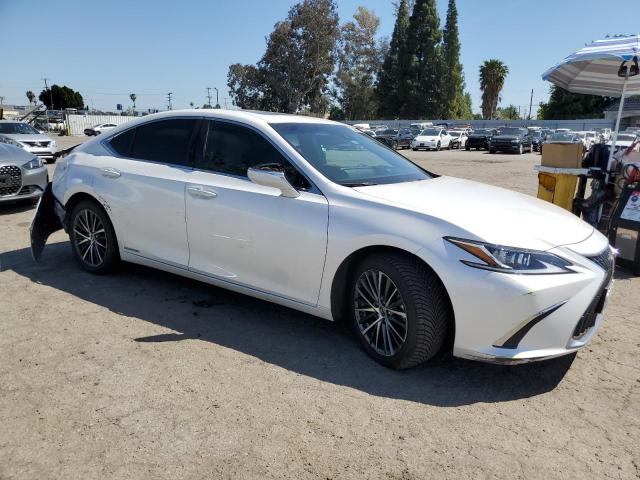  LEXUS ES300 2022 Белый