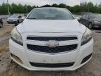 2013 Chevrolet Malibu 1Lt na sprzedaż w Memphis, TN - Water/Flood