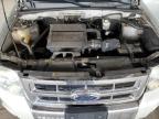 2009 Ford Escape Limited იყიდება Phoenix-ში, AZ - Rear End