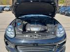 North Billerica, MA에서 판매 중인 2016 Porsche Cayenne  - Minor Dent/Scratches