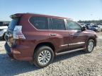 Houston, TX에서 판매 중인 2017 Lexus Gx 460 - Hail