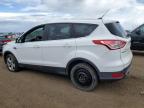 Brighton, CO에서 판매 중인 2013 Ford Escape Se - Rear End