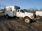 2013 Ford F650 Super Duty للبيع في Portland، MI - Front End