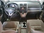 2009 Honda Cr-V Ex للبيع في Lexington، KY - Rear End