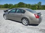 Cartersville, GA에서 판매 중인 2007 Nissan Maxima Se - Rear End