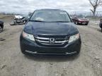 2015 Honda Odyssey Exl за продажба в Cicero, IN - All Over