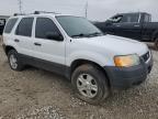 2003 Ford Escape Xlt للبيع في Columbus، OH - Rear End