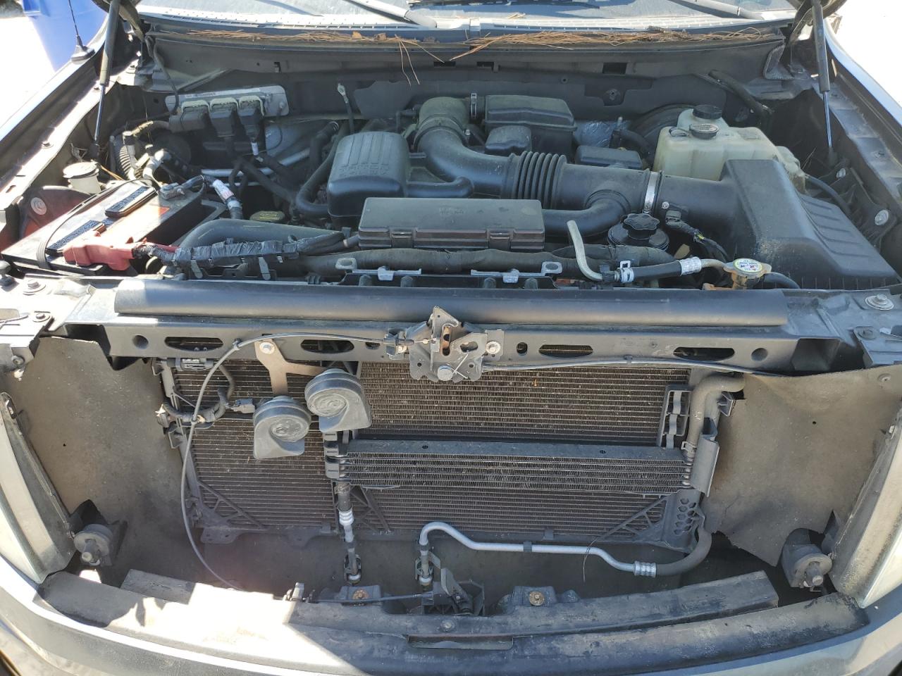 2010 Ford F150 Supercrew VIN: 1FTEW1CV7AFB54849 Lot: 57407605