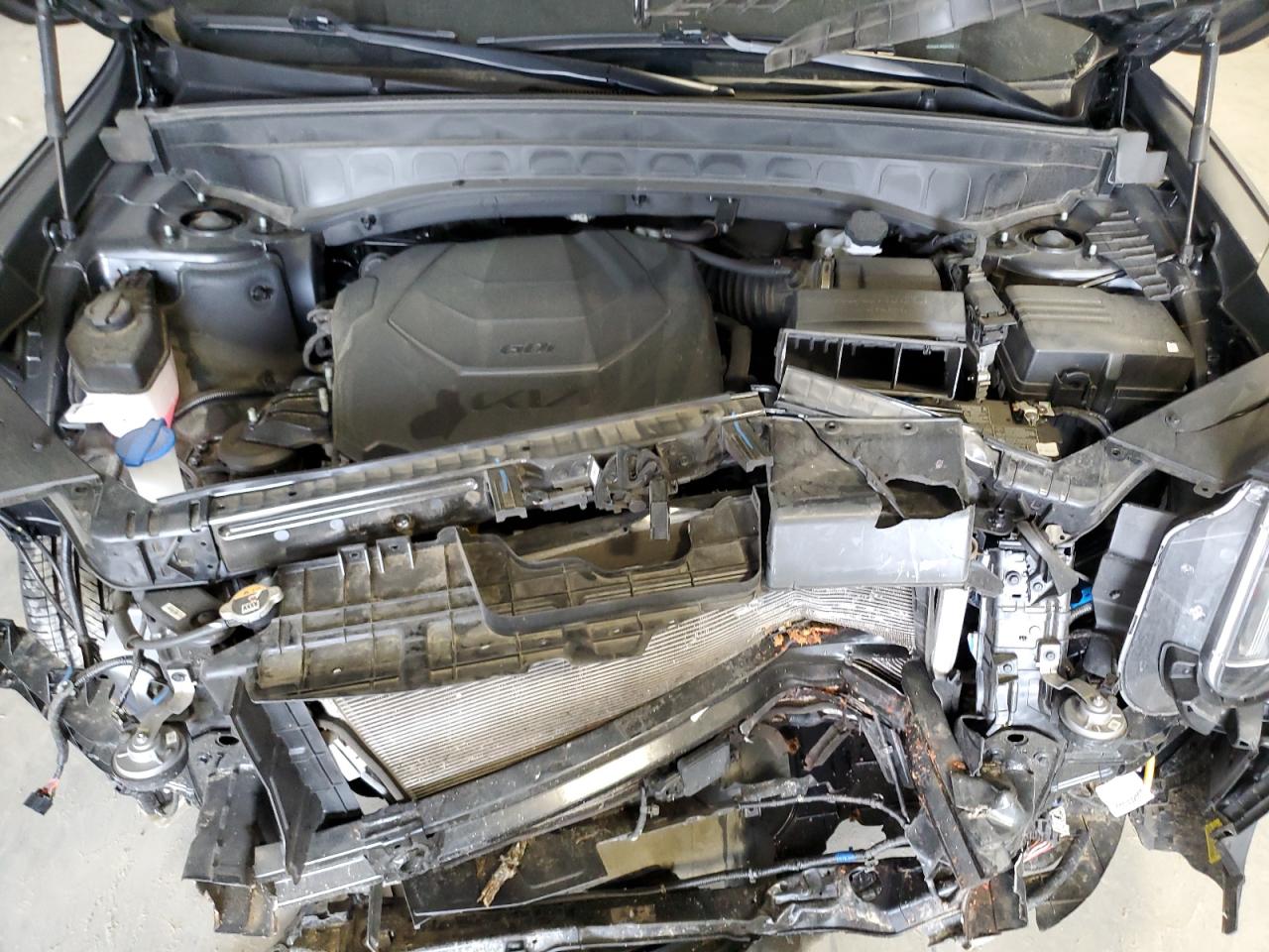 2023 Kia Telluride S VIN: 5XYP64GC3PG391556 Lot: 54966545