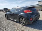2015 Hyundai Veloster Turbo for Sale in Earlington, KY - Hail