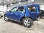 2008 Ford Escape Xlt en Venta en Ham Lake, MN - All Over