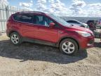 2013 Ford Escape Se zu verkaufen in Nisku, AB - Side