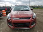 2014 Ford Escape Titanium for Sale in Indianapolis, IN - Rear End